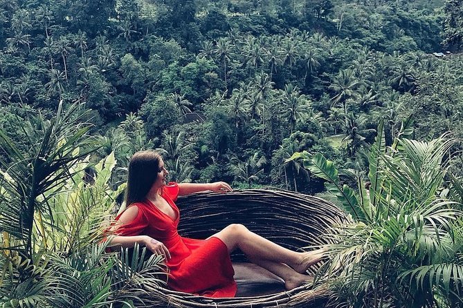 Individual Bali Day Trip with Private Driver and Free WiFi - Should you book this Bali private day trip?