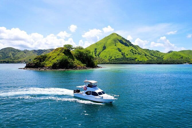 Komodo Island Adventure from Bali (Day Trip) - Komodo Island and the dragon trek