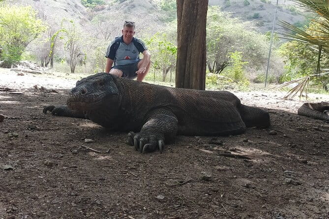 Komodo Island Adventure from Bali (Day Trip) - Should you book the Komodo Island day trip from Bali?