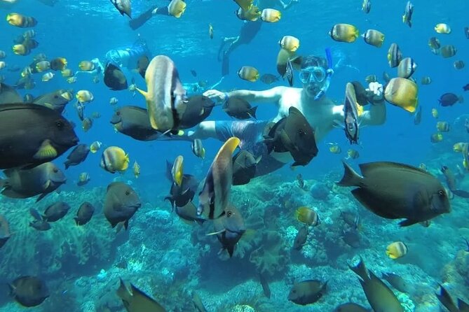 Manta Bay Snorkeling Adventure with Kelingking Beach Nusa Penida All Inclusive - Key points before you book