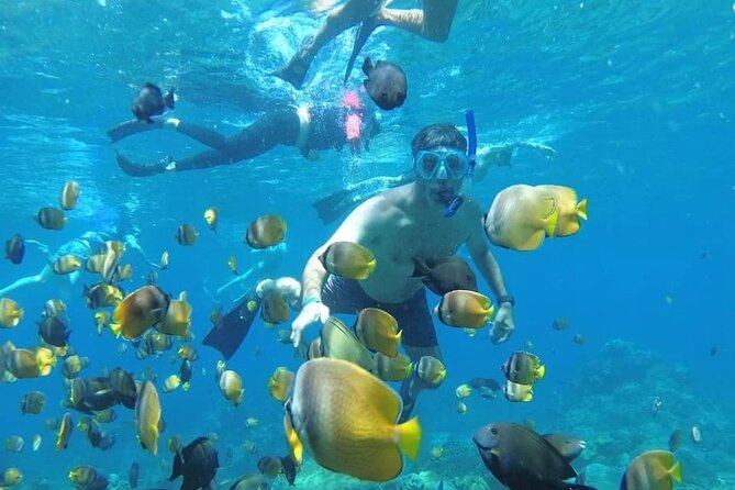 Manta Bay Snorkeling Adventure with Kelingking Beach Nusa Penida All Inclusive - The early route from Jimbaran to Sanur
