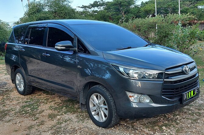 Ngurah Rai International Airport Private Arrival Transfer - Why a private pickup helps at Ngurah Rai