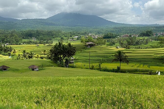 North Bali Nature Escape Rice Terraces, Temples & Waterfall - Food, money, clothing, and timing