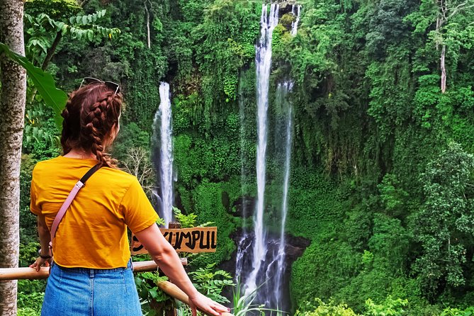North Bali: Sekumpul Waterfalls and Ulun Danu Temple Tour - What the guide and driver add