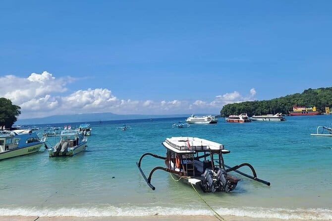 Northern Bali Highlights + Unesco Scenic Heritage Rice Terrace. - Starting at 8:30 am from Kuta