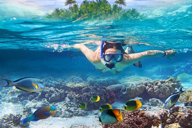 Nusa Lembongan Island: Snorkeling & Mangrove Forest Day Tour - Five things to know before you go