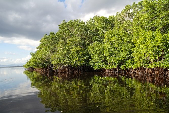Nusa Lembongan Island: Snorkeling & Mangrove Forest Day Tour - Coral reef snorkeling and a possible turtle sighting