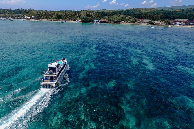 Nusa Lembongan Island: Snorkeling & Mangrove Forest Day Tour - A slower hour in the mangrove forest