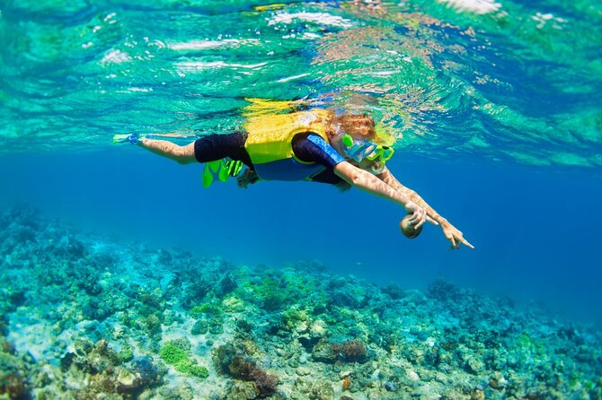 Nusa Lembongan Island: Snorkeling & Mangrove Forest Day Tour - The early run to Sanur and Nusa Lembongan