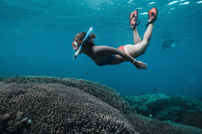 Nusa Penida day trip: boat, 4 snorkeling, Manta rays & Land tour - Mangrove Point and the first coral garden