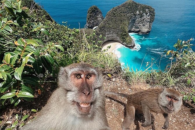 Nusa Penida day trip: boat, 4 snorkeling, Manta rays & Land tour - Lunch, the infinity pool, and time to cool off