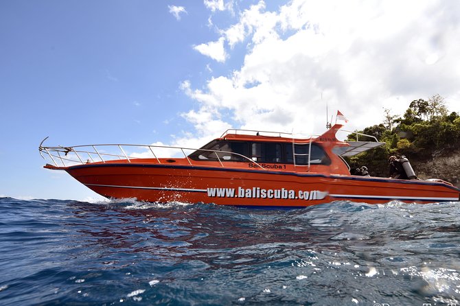 Nusa Penida Day Trip for 3 dives - Three sessions, lunch, and surface time on the boat