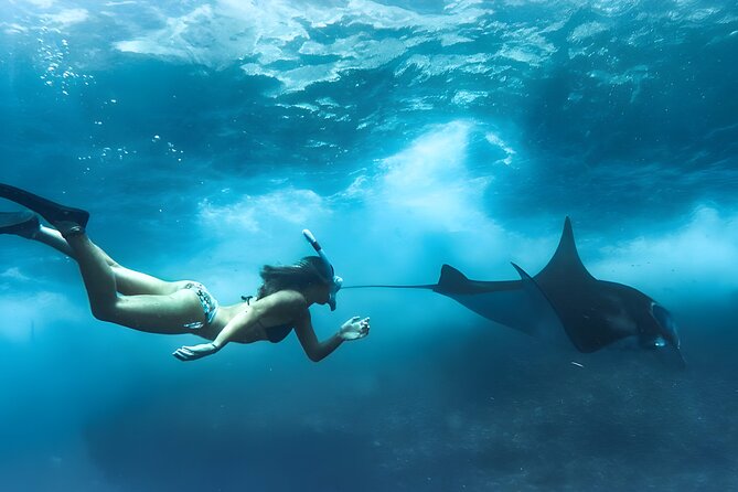 Nusa Penida Island Beach Tours with Snorkeling From Bali - The real shape of this 10-hour Nusa Penida day