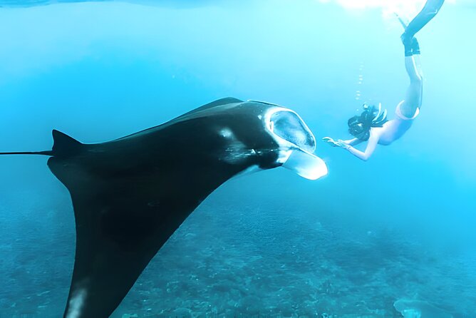 Nusa Penida Island Beach Tours with Snorkeling From Bali - Snorkeling at Gamat Bay, Crystal Bay, and Manta Bay