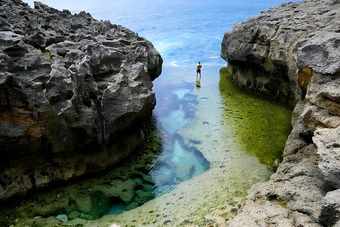 Nusa Penida Island Beach Tours with Snorkeling From Bali - What the private driver arrangement really gives you