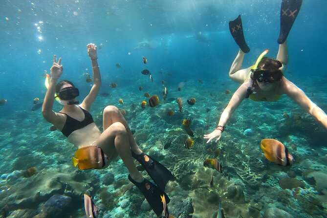 Nusa Penida Island Beach Tours with Snorkeling From Bali - Kelingking Beach and the smarter viewpoint choice