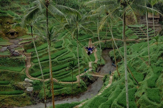Private 4-Day Tours - Best Bali Tours Package - Best of Bali Highlights - Who should book this Bali tour?