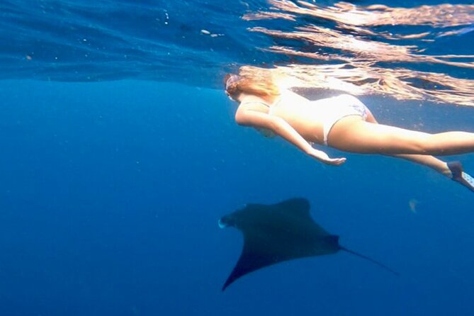 Private All Inclusive Nusa Penida Snorkeling and Tour - Why this trip works as a one-day Nusa Penida sampler
