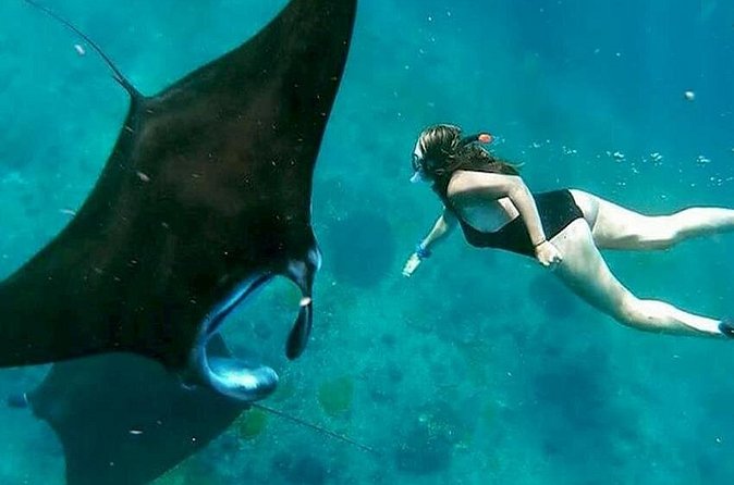 Private All Inclusive Nusa Penida Snorkeling and Tour - Crystal Bay, Angel’s Billabong, and the route details