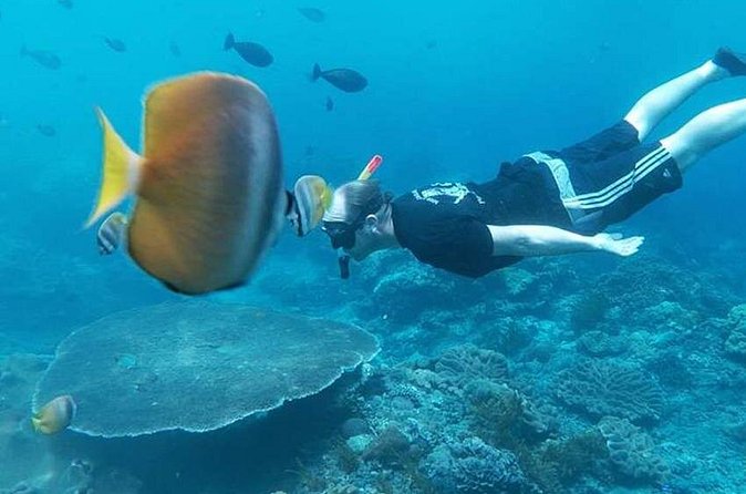 Private All Inclusive Nusa Penida Snorkeling and Tour - Kelingking Beach and the famous T-Rex cliff