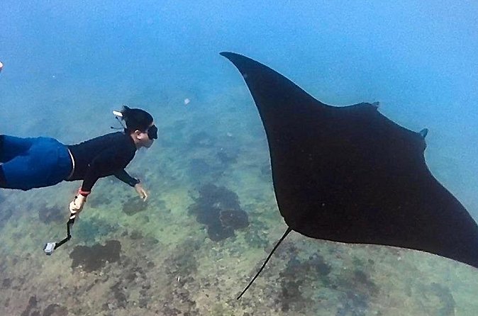 Private All Inclusive Nusa Penida Snorkeling and Tour - Private vehicles and the value of the $128 price