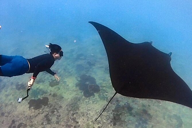 Private All Inclusive Nusa Penida Snorkeling and Tour - Starting at 6:00 am and reaching Sanur Harbour