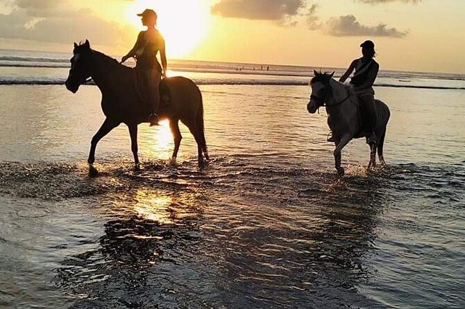 Private Bali Horse riding at saba beach - Private booking and the value at $43.79