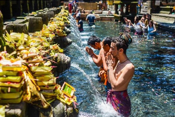 Private Bali Tour - All Inclusive - Tegalalang Rice Terrace: beautiful, busy, and built for photos