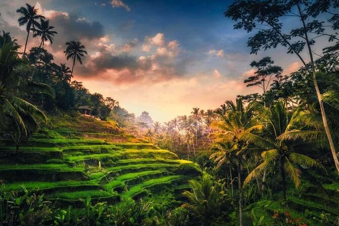 Private Bali Tour with Lisensed Bali Driver - Tegenungan Waterfall and the cost of a short visit