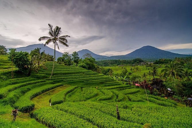 Private Chartered Car to Bali Temples With Besakih Temple - Besakih is the reason to choose this tour