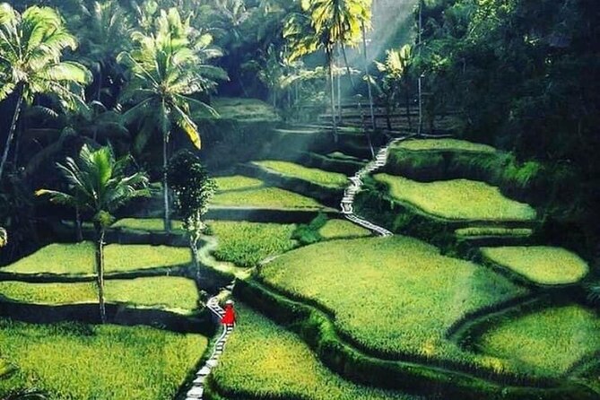 Private Customized Tour with Local Guide - A private Bali day built around your priorities