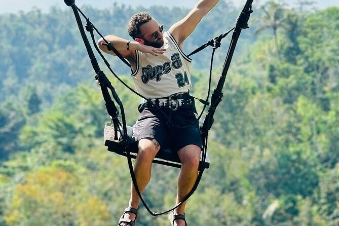 Private Inclusive Tour: The Best Of Ubud With Jungle Swing - Tegalalang Rice Terrace brings the classic Ubud view