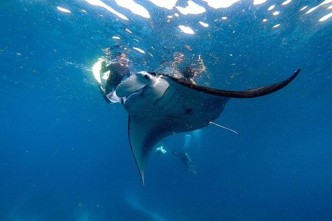 PRIVATE Nusa Penida on Boat Snorkeling & Island Tour (INCLUSIVE) - Key points to know before booking