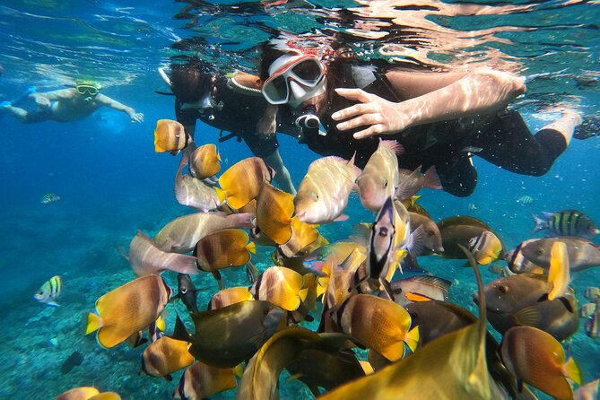 Private Snorkeling in Manta Bay, Gamat Bay & Wall at Nusa Penida - Manta Bay: the big hope, not a guarantee