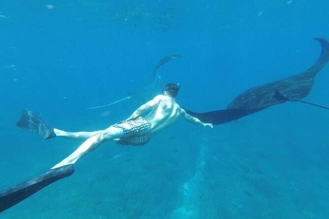 Private Snorkeling in Manta Bay, Gamat Bay & Wall at Nusa Penida - Gamat Bay: fish, coral scenery, and a calmer pace