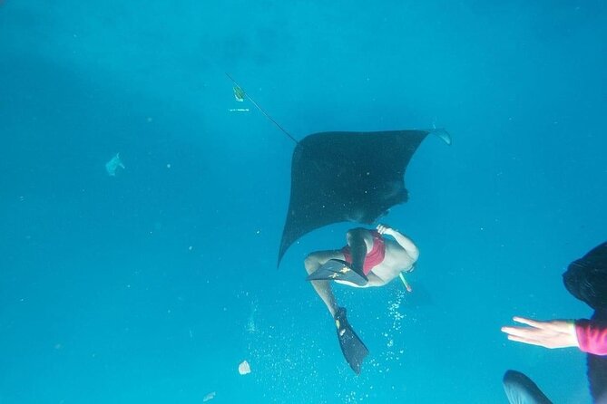 Private Snorkeling in Manta Bay, Gamat Bay & Wall at Nusa Penida - Lunch after the sea time