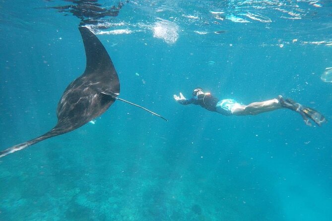 Private Snorkeling in Manta Bay, Gamat Bay & Wall at Nusa Penida - What the $115 price really covers