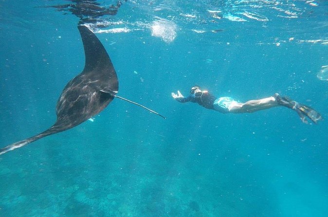 Private Snorkeling in Manta Bay, Gamat Bay & Wall at Nusa Penida - Who will like this Nusa Penida tour