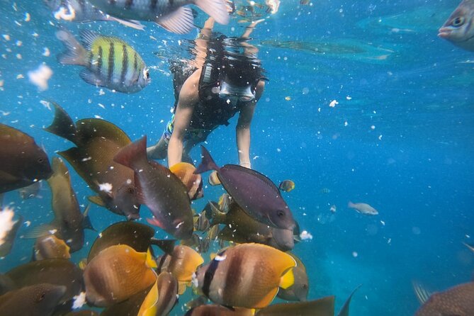 Private Snorkeling in Manta Bay, Gamat Bay & Wall at Nusa Penida - The two-hour boat outing around Nusa Penida