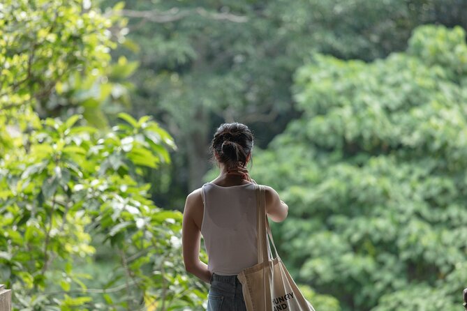 Private Tour : Bali Best Waterfalls, Temples and Monkey Forest - A guide can change the feel of the day