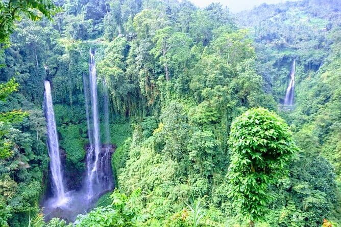 Private Tour: Bali Heritage Sites - Tirta Empul and Bali’s holy spring