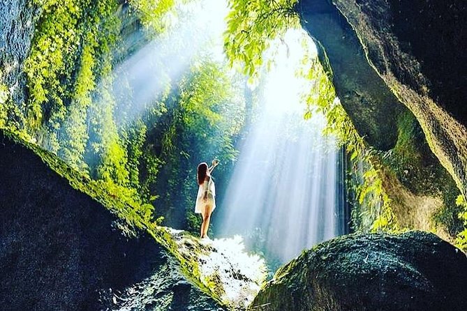 Private Tour: Bali in a Day - Tegalalang Rice Terrace and the subak system
