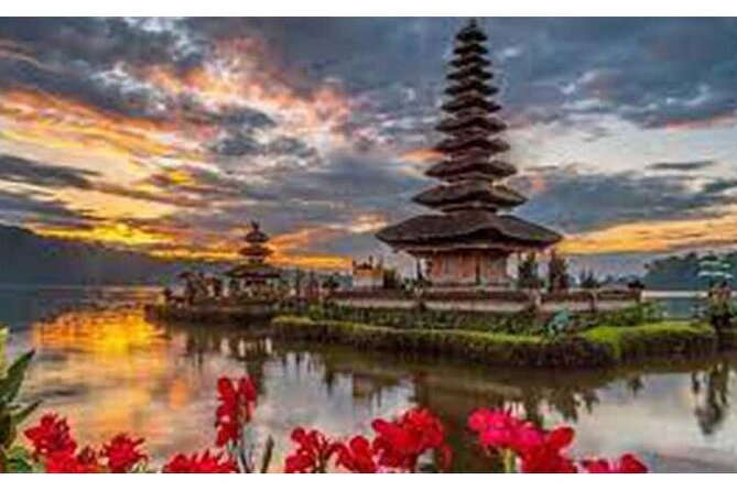 Private Tour Bali Swing & Visiting Temples in Bali - What the private vehicle changes