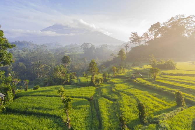 Private Tour: Bali Temple and Countryside Tour - Jatiluwih: the heart of the day