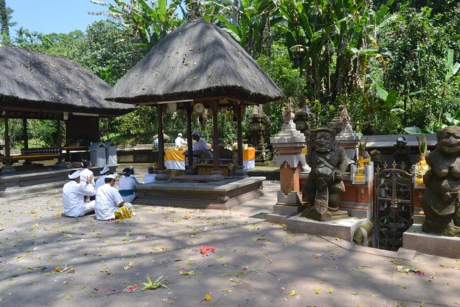 Private Tour: Bali Temple and Countryside Tour - Timing, comfort, and what to pack