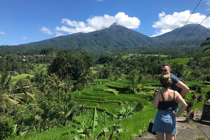 Private Tour: Bali Temple and Countryside Tour - Bali Butterfly Park: a gentle first stop