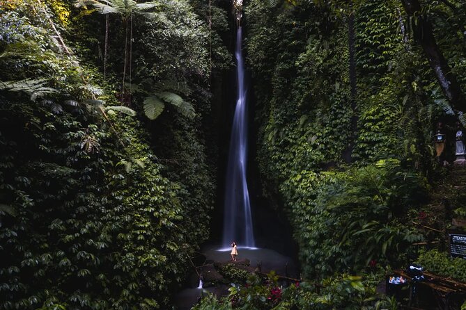 Private Tour: Bali Temples, Hidden Waterfall and Handara Gate - Handara Gate and the price of the perfect photograph