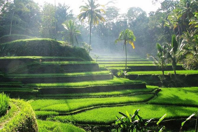 Private Tour: Batuan Temple, Tegenungan Waterfall, Elepahant Cave Free transport - Ubud Traditional Art Market
