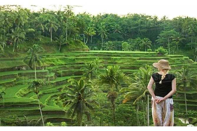 Private Tour: Campuhan Ridge Walk, Ubud Rice Terrace & Ubud Palace - Shopping at Ubud Traditional Art Market