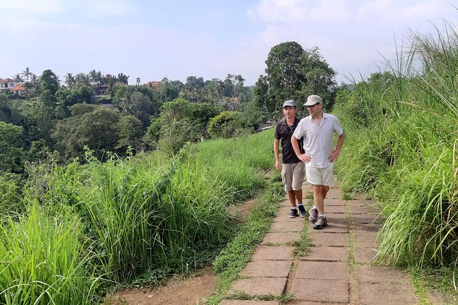 Private Tour: Campuhan Ridge Walk, Ubud Rice Terrace & Ubud Palace - How the private format changes the day